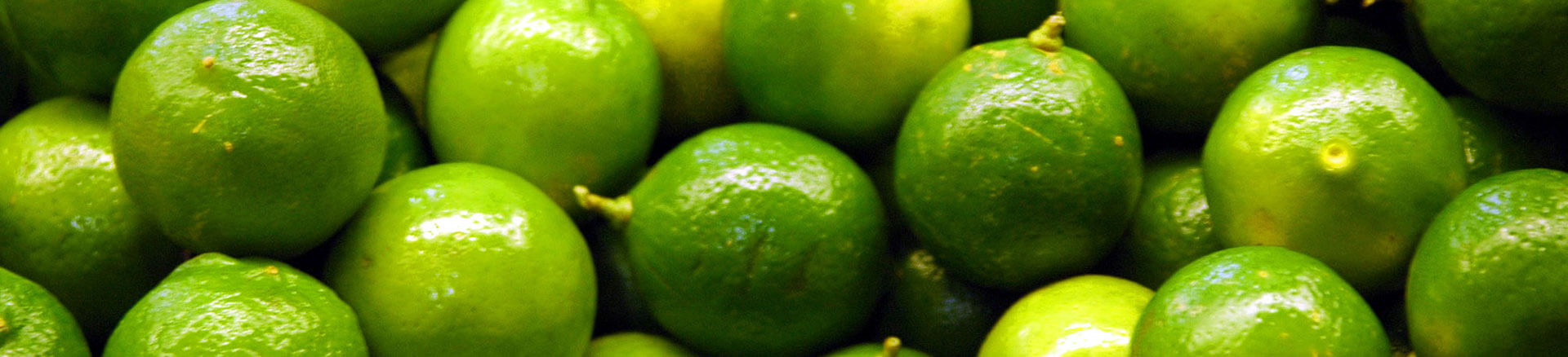 Crop of organically grown lime